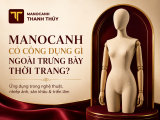 Manocanh Có Công Dụng Gì Ngoài Trưng Bày Thời Trang?