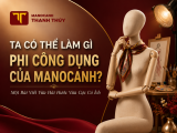 Ta Có Thể Làm Gì Phi Công Dụng Của Manocanh? Một Bài Viết Vừa Hài Hước Vừa Cực Có Ích